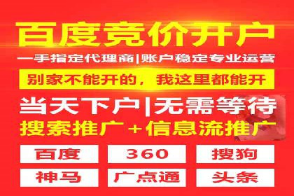 百度竞价推广运营实战技巧与经典案例剖析